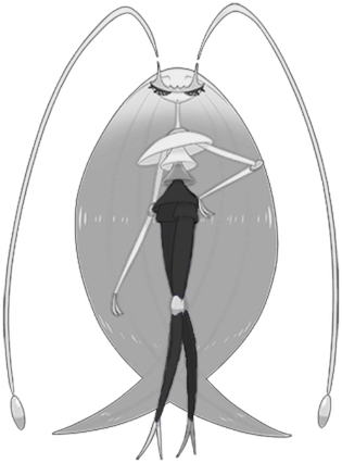 official artwork male shiny preview