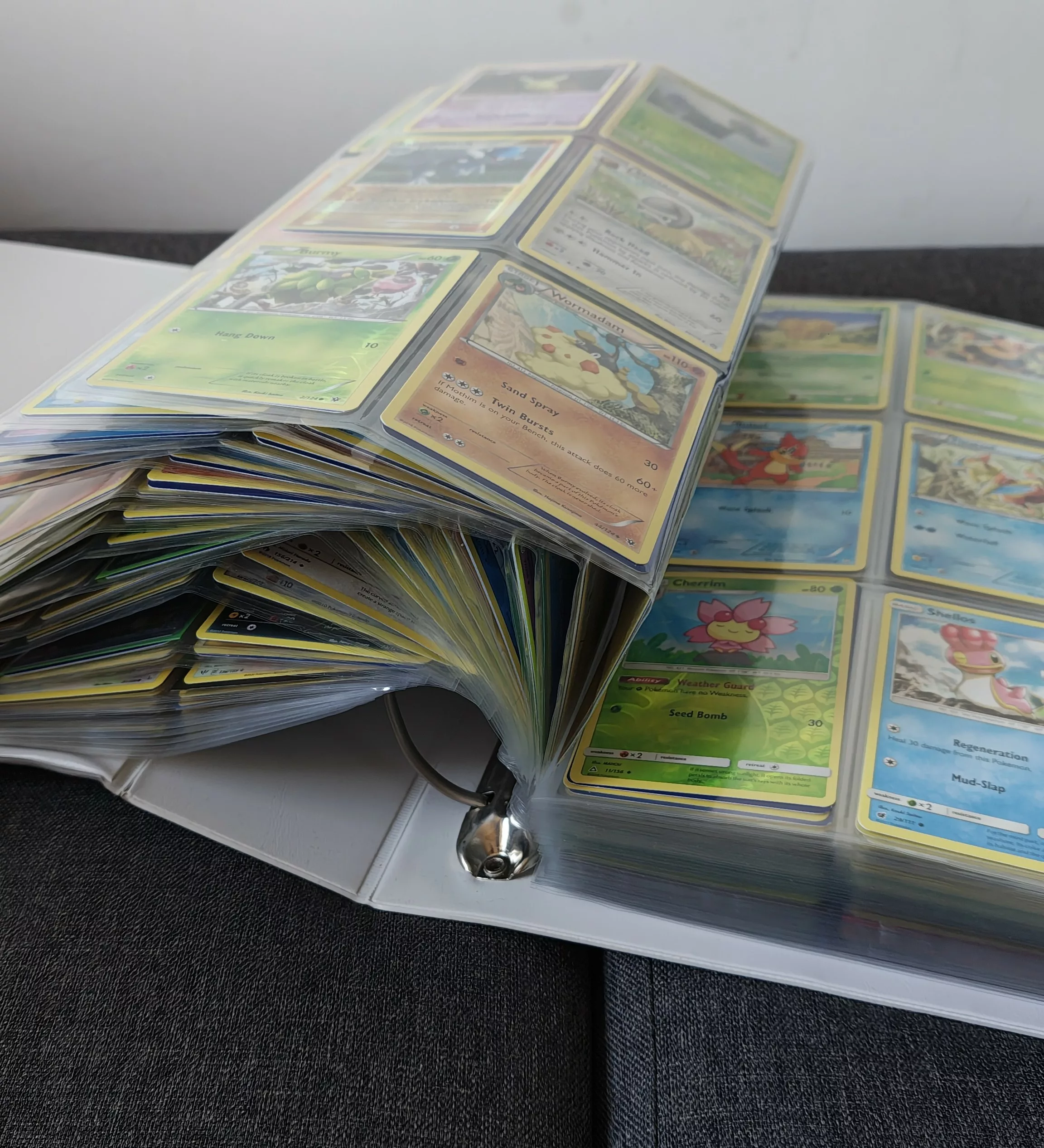 IMG_20251107_142719875_HDR_1