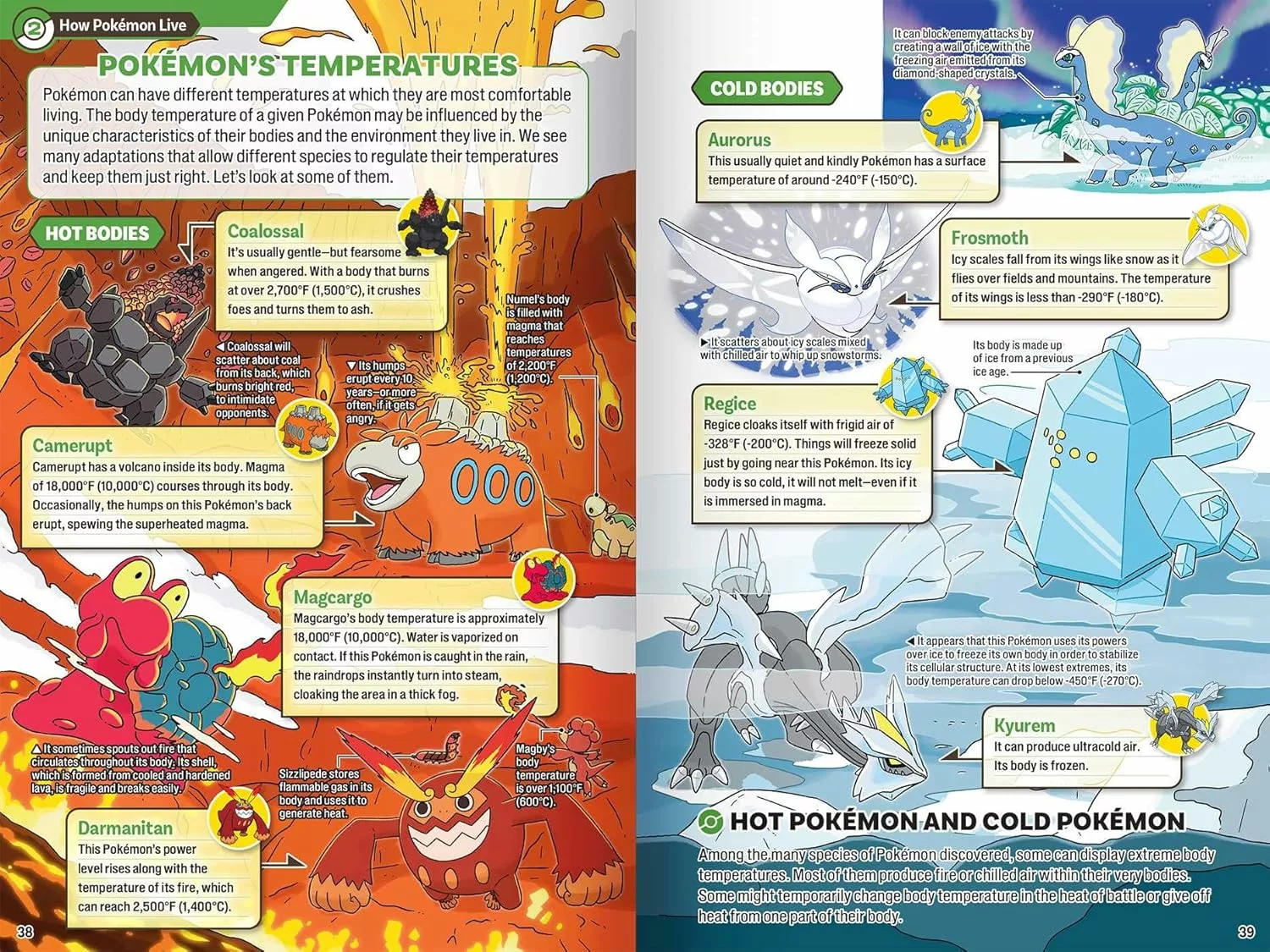 81Ft35wVioL._SL1500_