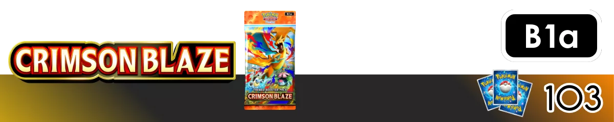 Pocket SETY WAW (1200 x 240 px) (5)