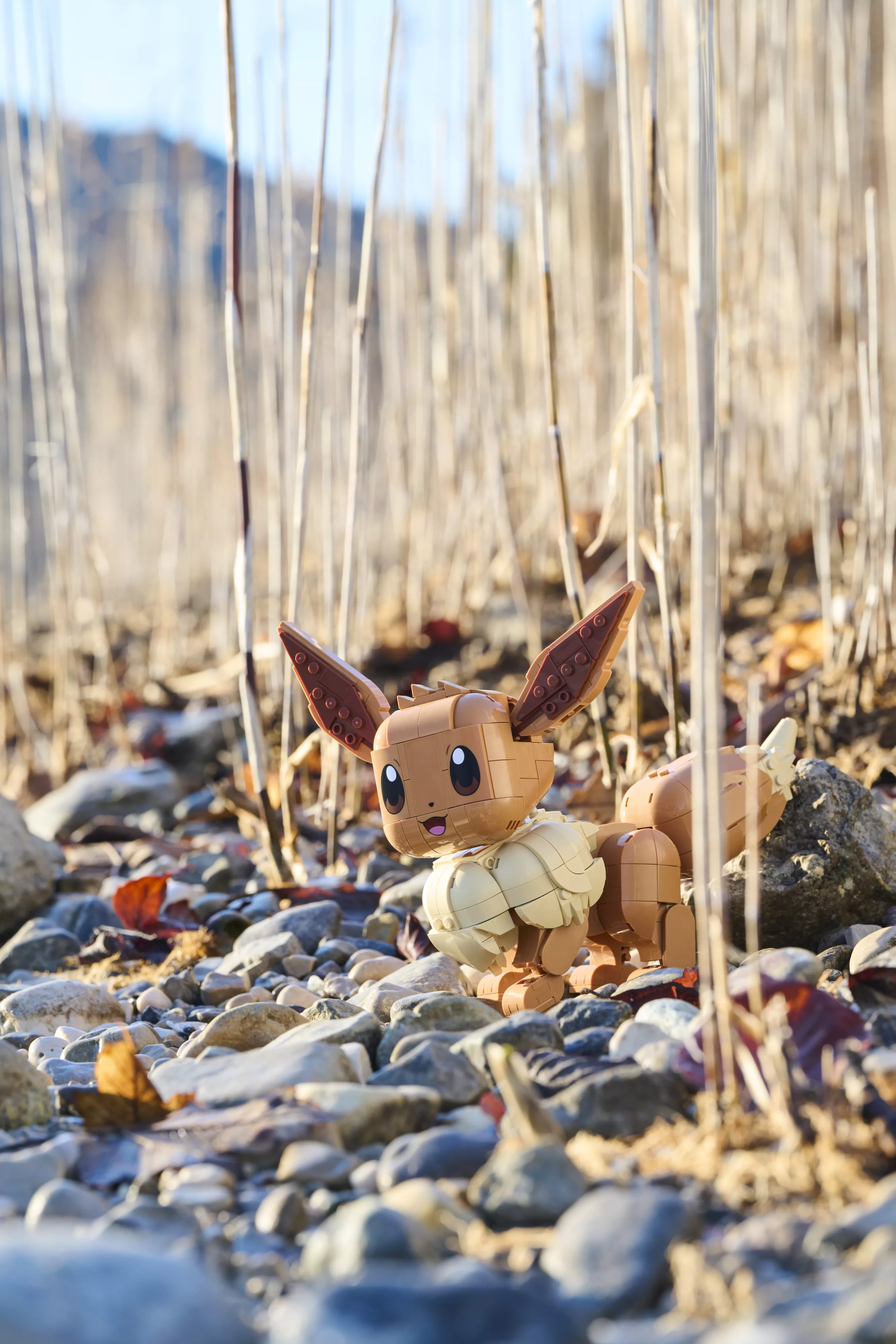 002_LEGO® Pokémon™ Eevee_Germany_HR0156