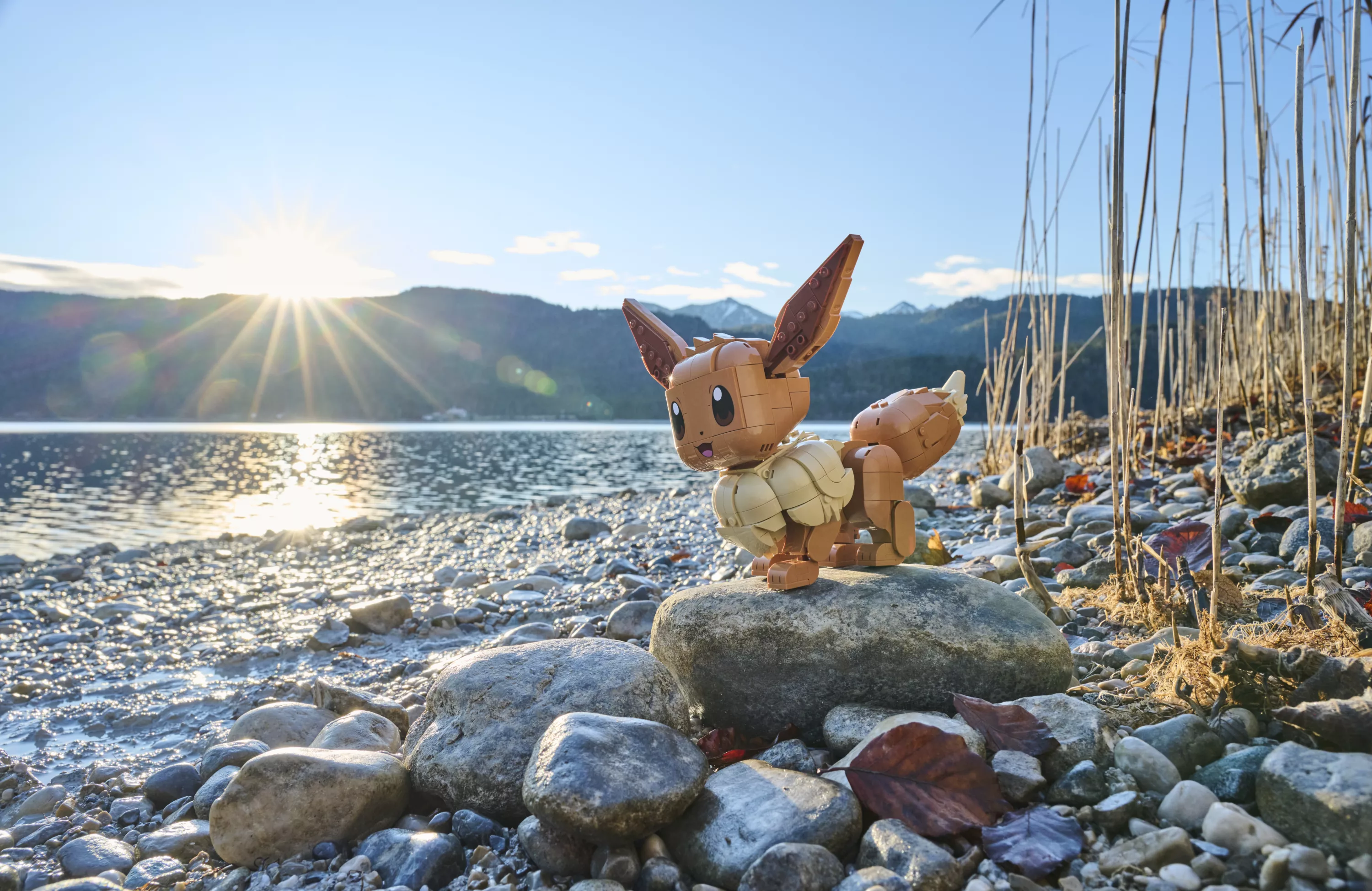 003_LEGO® Pokémon™ Eevee_Germany_HR0095