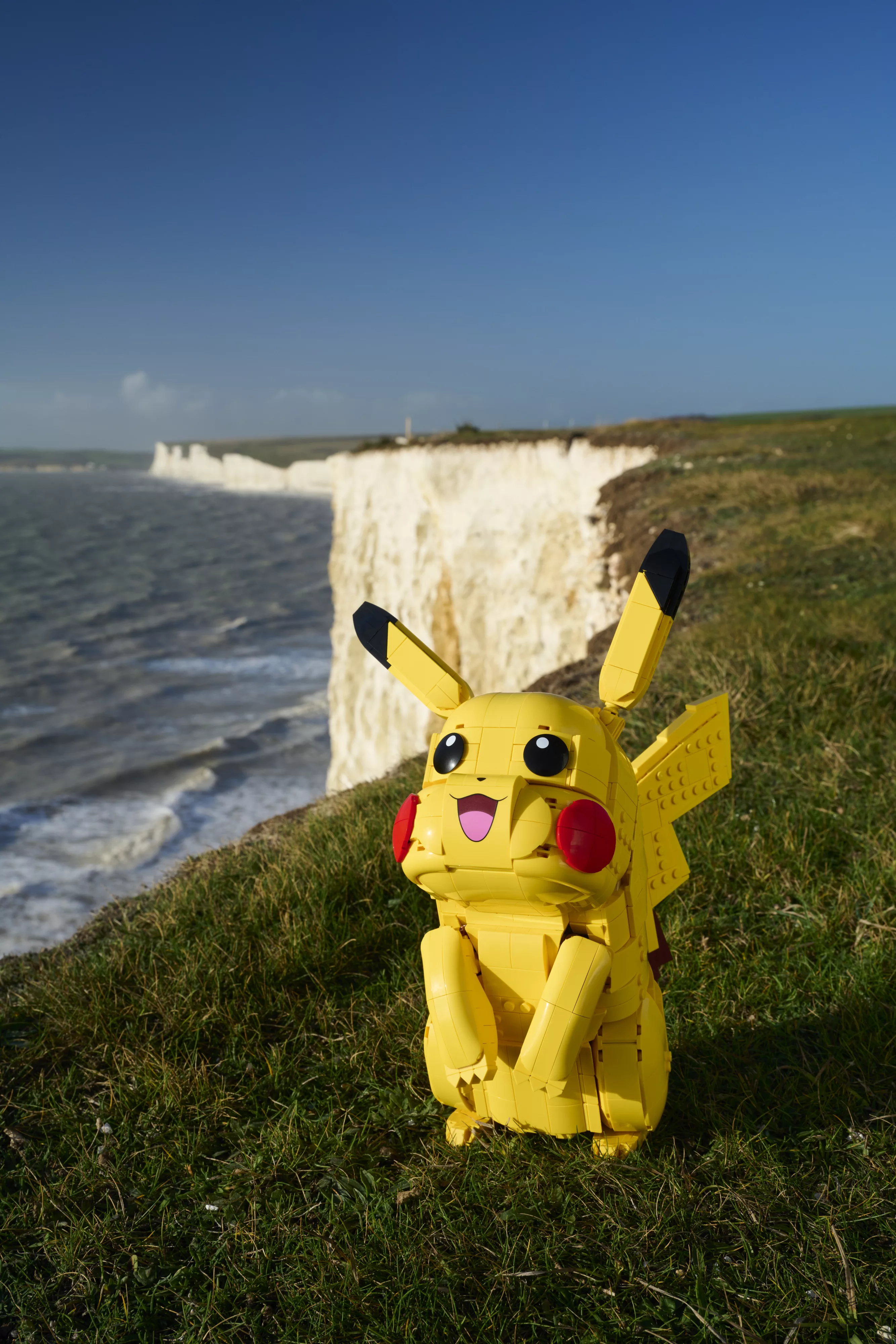 004_LEGO® Pokémon™ Pikachu and Poké Ball _UK_HR0223