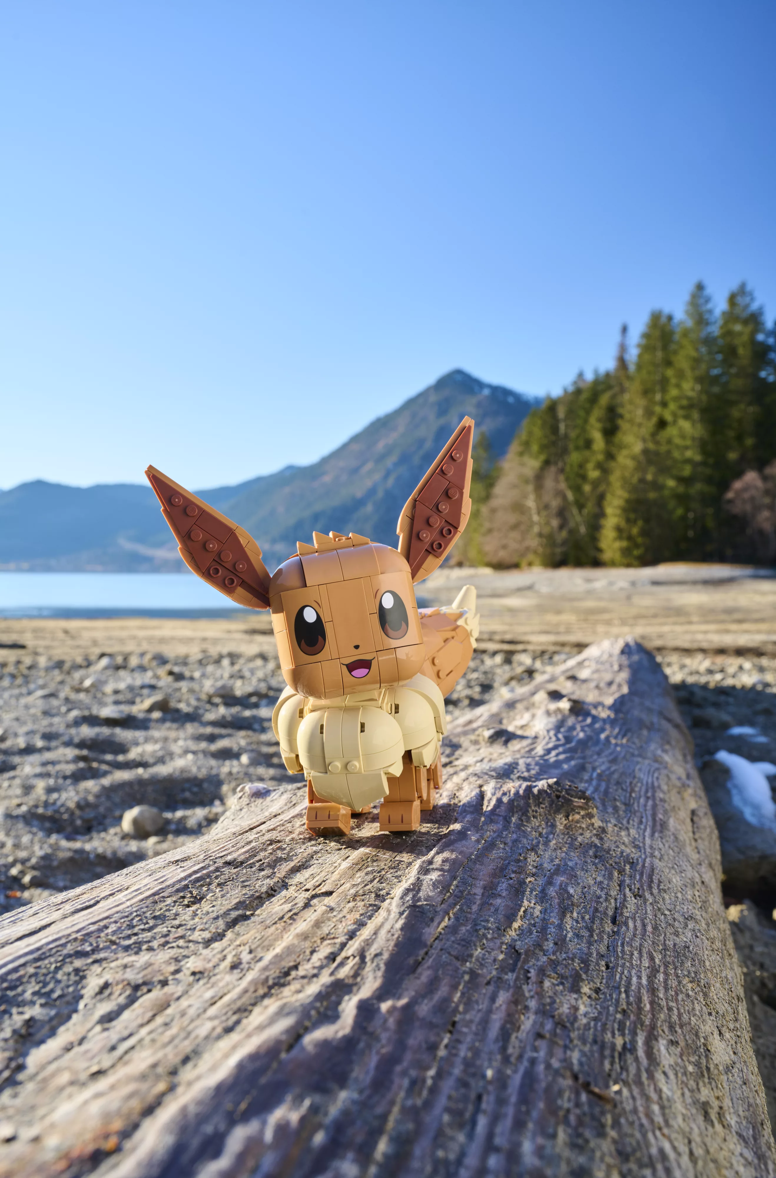 005_LEGO® Pokémon™ Eevee_Germany_HRP0375